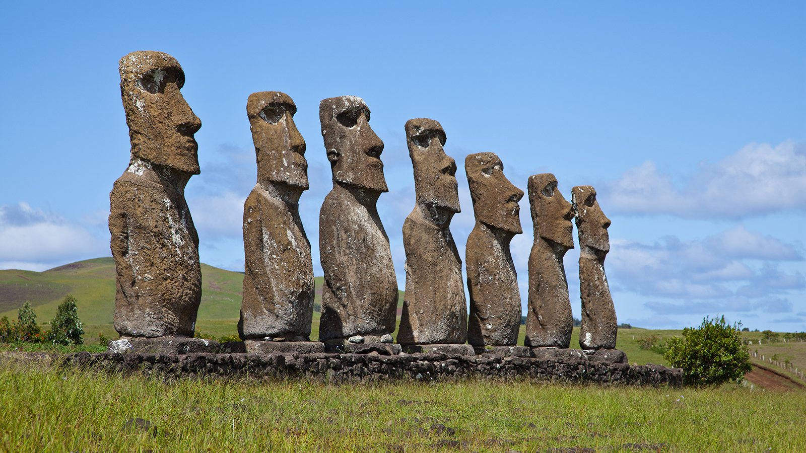chile-moai-statues