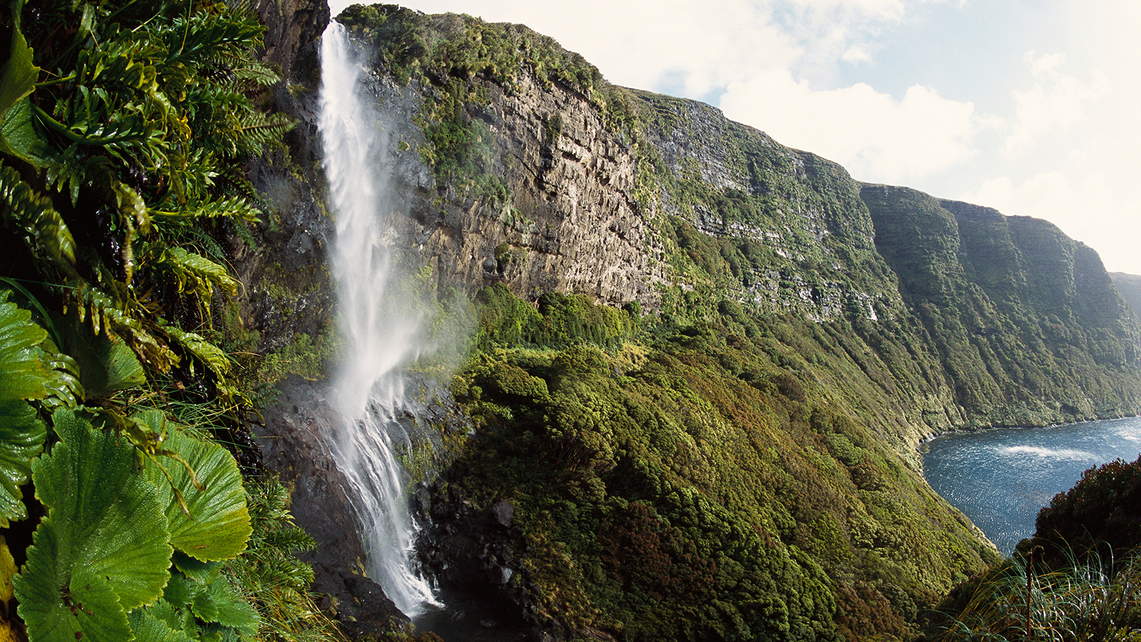 Waterfall dropping from hanging valley into Fata forest, McLennan Inlet, Auckland Island, New Zealand