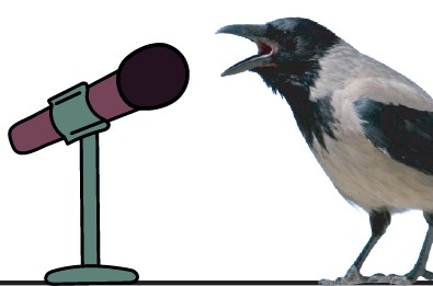 עורב