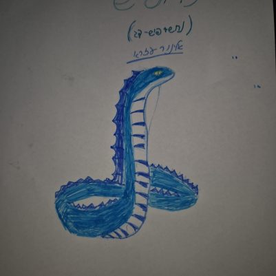 1000176186.jpg