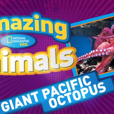 Amazing-Animals-S2E1-octopusHR