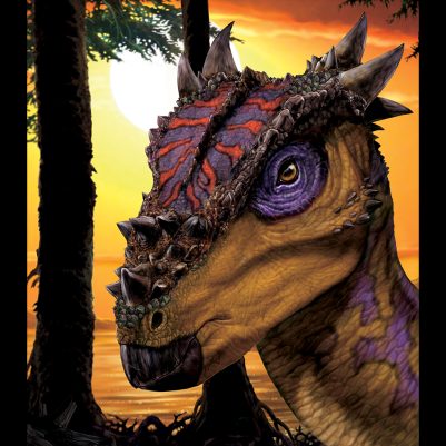 dracorex-closeup