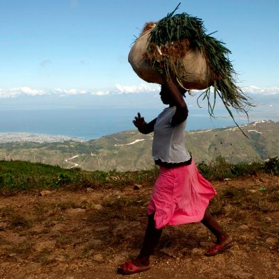 A woman carries a bundle on her head near Chauffard, Haiti, Tuesday, Oct. 27, 2009. (AP Photo/Ramon Espinosa)