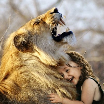 lion-3012515_1280