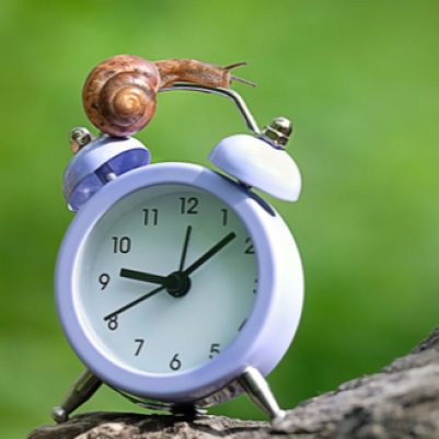 shutterstock_1417234838