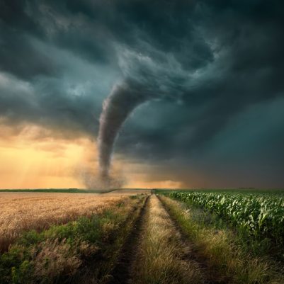shutterstock_626537093
