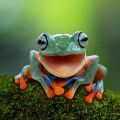 shutterstock_752492104