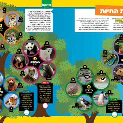 חידה לאתר