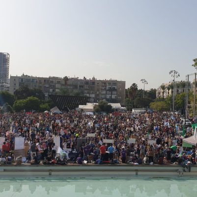 כיכר רבין. צילום - איריס ארבל, החברה להגנת הטבע