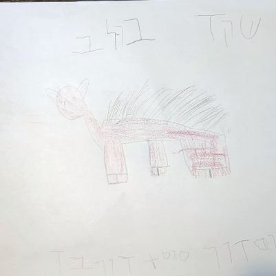 סוסדור.jpg