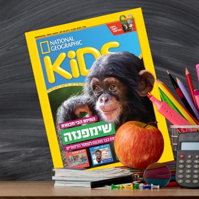 שער