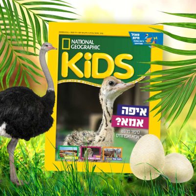 יולי 2023