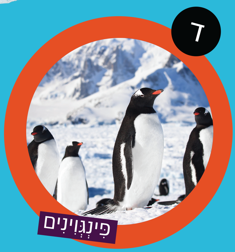 פינגווינים
